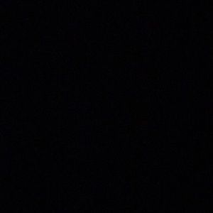 Meet your Posher, Donald